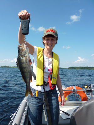 Cottage accommodation and perch spinning trips on Lake Saimaa